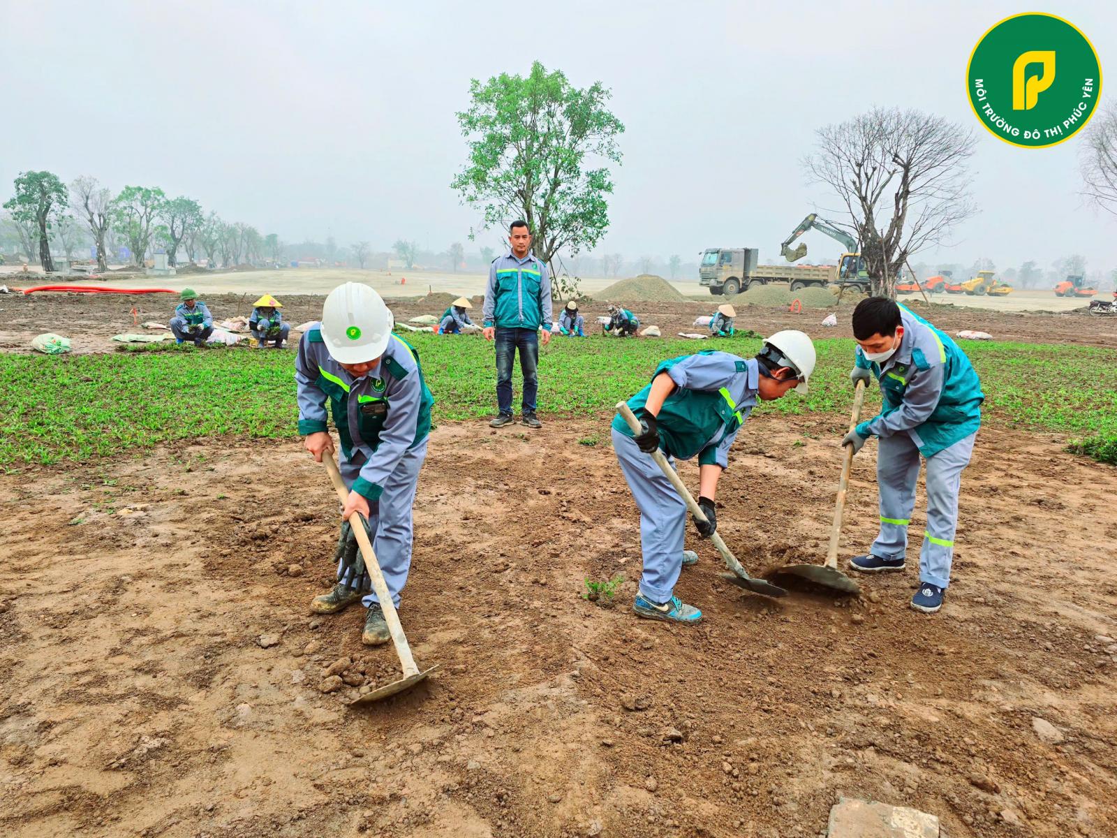 Công ty Cổ phần Môi trường và Công trình Đô thị Phúc Yên Tham Gia Trồng Cỏ Tại Dự Án Trung Tâm Hội Chợ Triển Lãm Quốc Gia