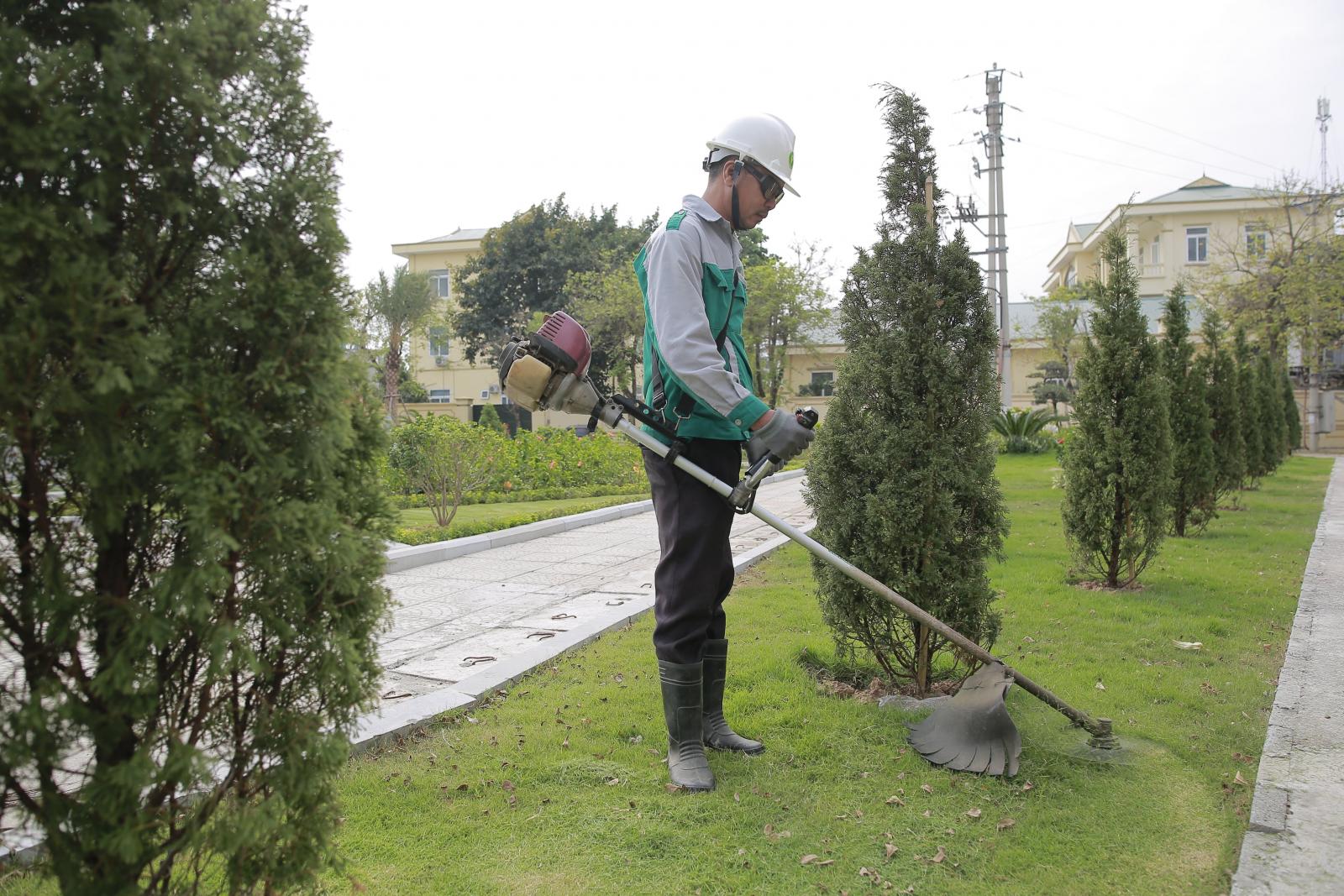 MỘT NGÀY LÀM VIỆC CỦA CÁN BỘ CÔNG NHÂN VIÊN ĐƠN VỊ CÂY XANH TẠI TRỤ SỞ CƠ QUAN KHÁCH HÀNG