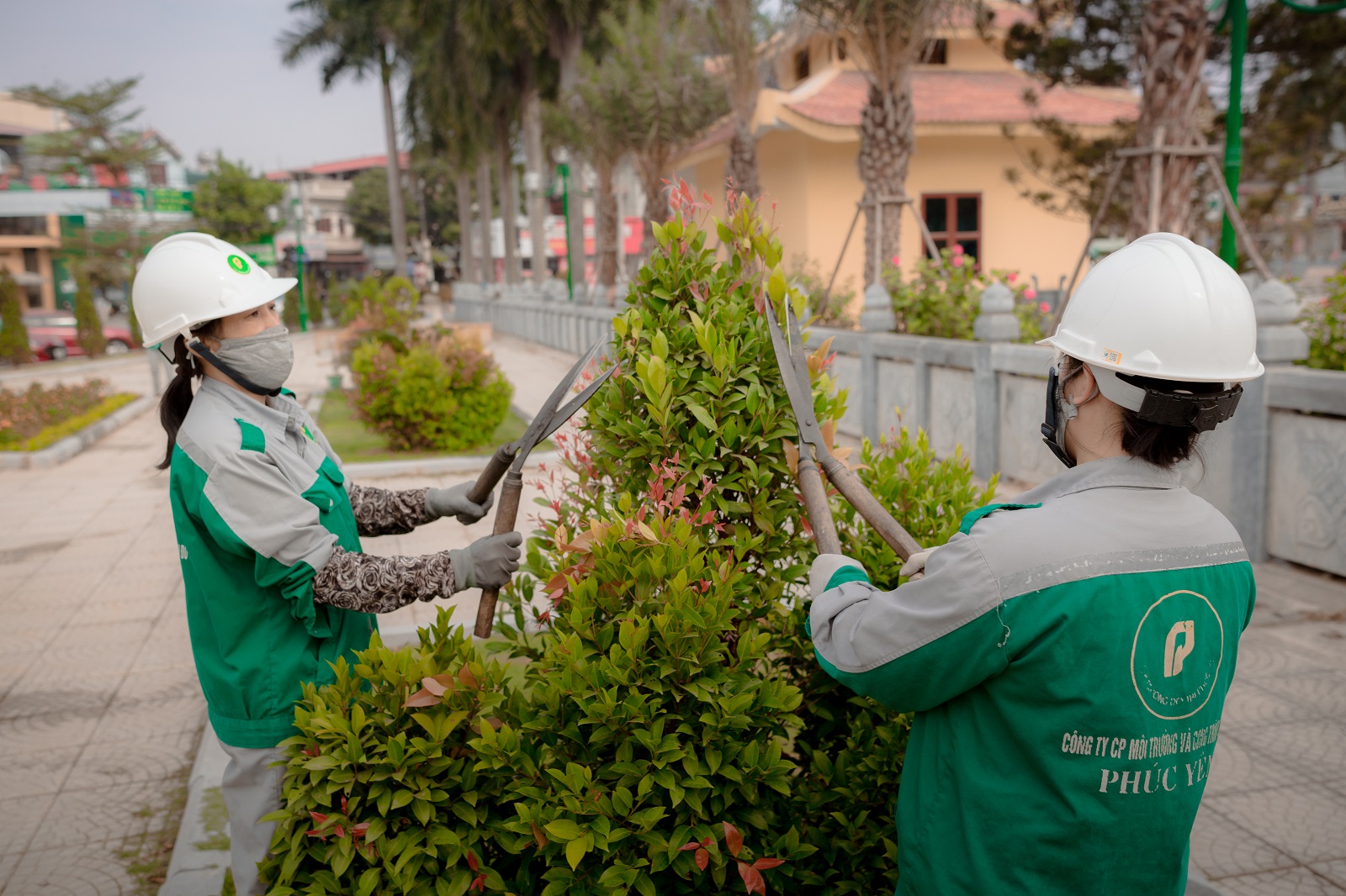 Trồng, chăm sóc cây xanh, cây trang trí